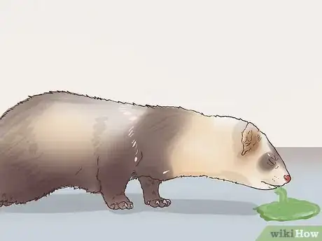 Image titled Deworm a Ferret Step 9