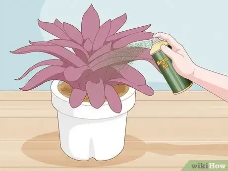 Image titled Get Rid of Gnats in Houseplants Step 5