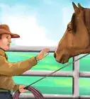 Bond With Your Horse Using Natural Horsemanship