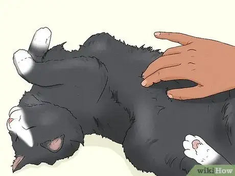 Image titled Give Your Cat a Massage Step 19