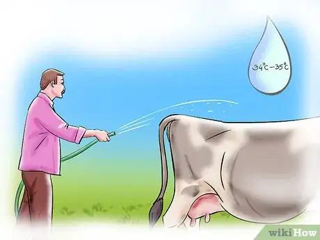 Image titled Artificially Inseminate Cows and Heifers Step 4