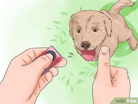 Image titled Teach Your Dog Tricks Step 4