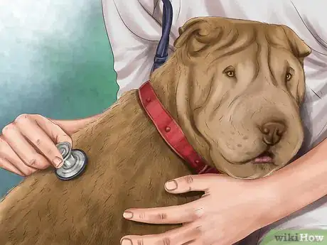 Image titled Diagnose Skin Masses on Dogs Step 6