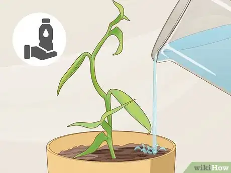 Image titled Grow Vanilla Step 8