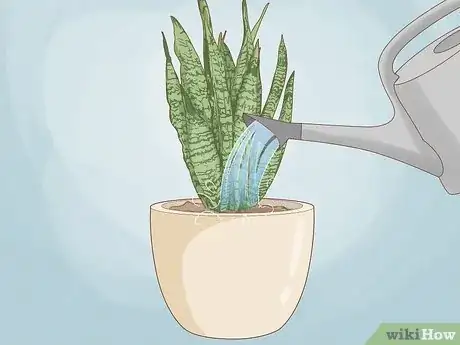 Image titled When to Repot Snake Plant Step 10