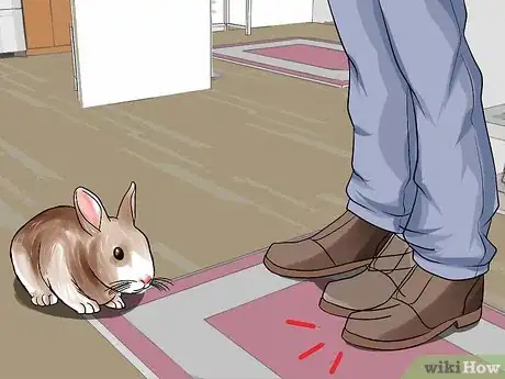 Image titled Teach a Rabbit Not to Scratch Step 4