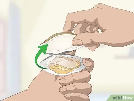 Image titled Eat Clams Step 3