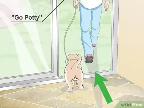 Image titled Potty Train Small Dogs Step 5