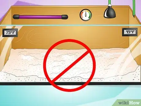 Image titled Set Up a Vivarium for a Bearded Dragon Step 10