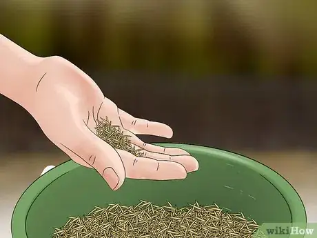 Image titled Grow Grass from Seeds Step 7