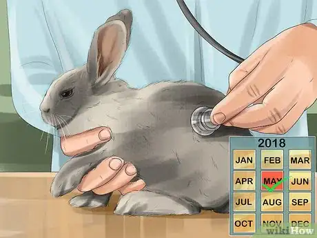 Image titled Tell if Your Rabbit Is in Pain Step 12