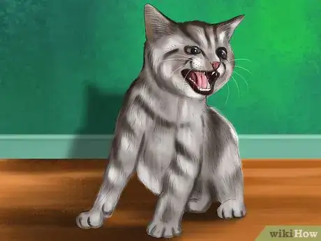 Image titled Know if a Kitten Is Stressed Step 6