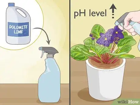 Image titled Make African Violet Soil Mix Step 5