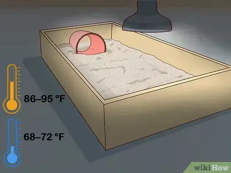 Image titled Take Care of a Russian Tortoise Step 4