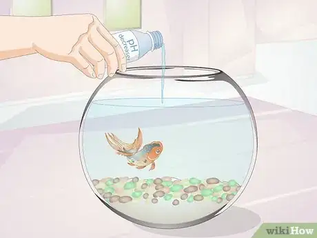 Image titled Keep a Goldfish Alive Step 4