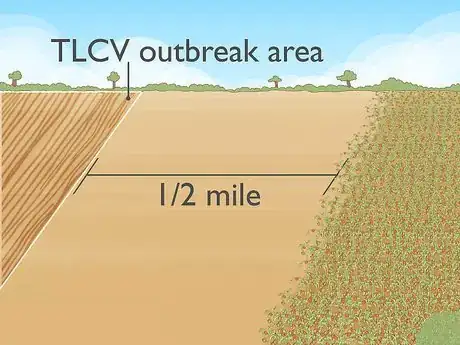 Image titled Treat Tomato Leaf Curl Virus Step 7