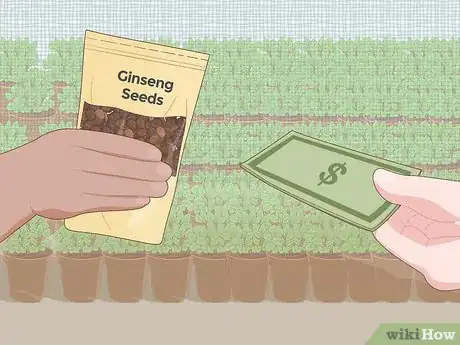 Image titled Grow Ginseng Step 8