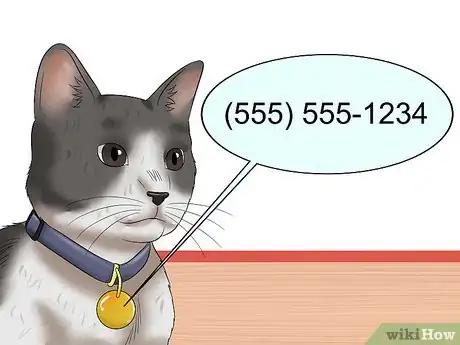 Image titled Keep a Cat Safe Outside Step 1