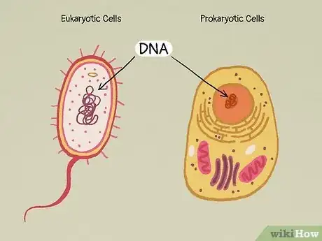 Image titled What Do All Cells Have in Common Step 4