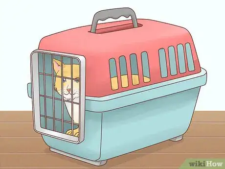 Image titled Prepare Your Cat for a Blood Test Step 4