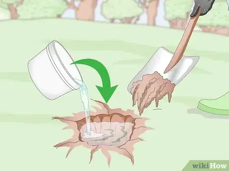 Image titled Prepare Soil for Fruit Trees Step 1