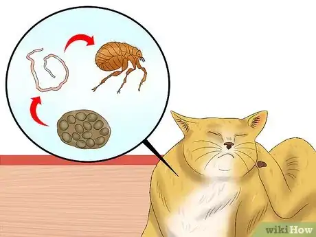 Image titled Prevent Tapeworms in Cats Step 8