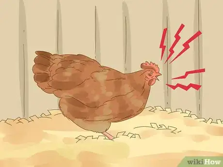 Image titled Tell if a Chicken is Sick Step 19