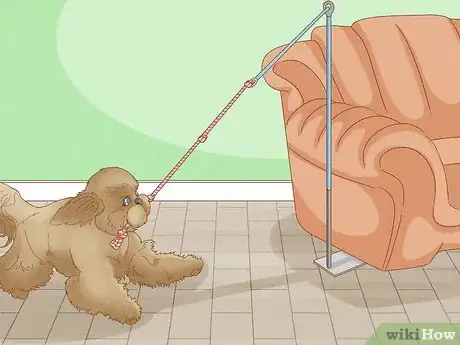 Image titled Make Your Dog More Playful Step 9