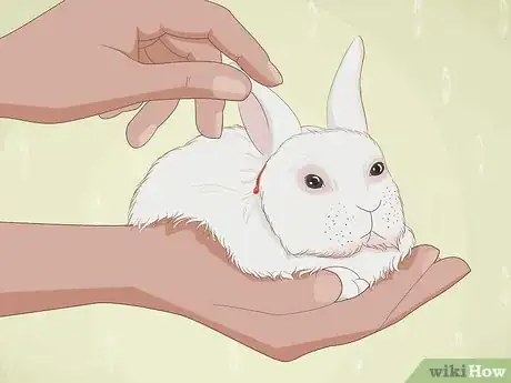 Image titled Care for an Injured Rabbit Step 3