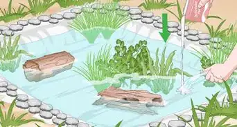 Build a Frog Pond