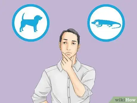 Image titled Be a Good Pet Owner Step 11