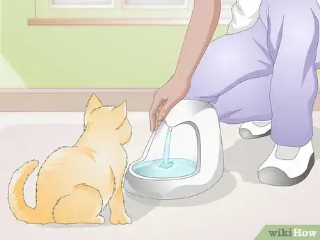 Image titled Train Your Cat to Use a Pet Fountain Step 3