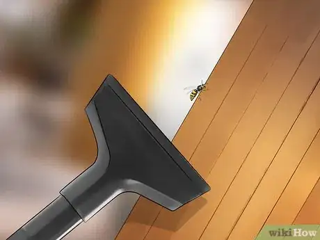 Image titled Get Rid of Wasps Step 2