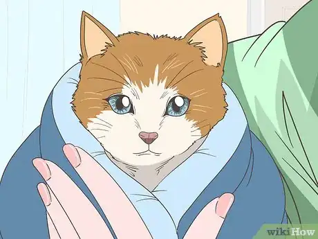 Image titled Make Kitten Formula Step 8