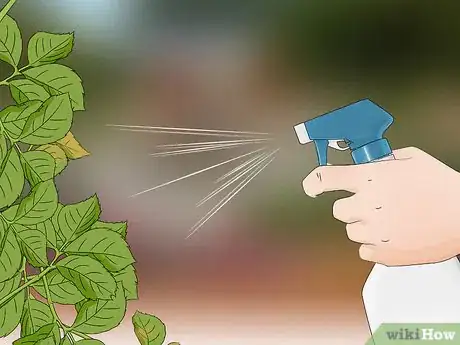 Image titled Control Aphids Step 13