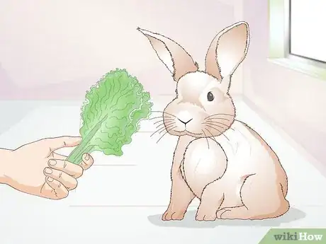 Image titled Feed Greens to Your Rabbit Step 3