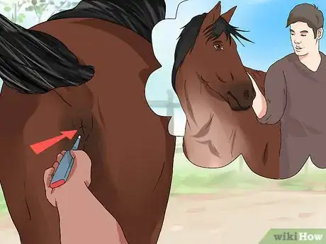 Image titled Take a Horse's Temperature Step 12