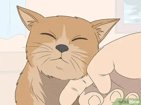 Image titled What Does It Mean when Your Cat Licks You Step 5