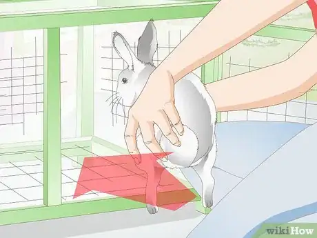 Image titled Clean a Rabbit Cage Step 16