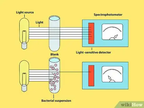 Image titled Measure Bacterial Growth Step 14