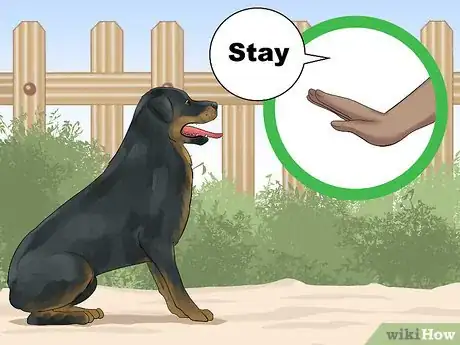 Image titled Train a Rottweiler to Be a Guard Dog Step 3