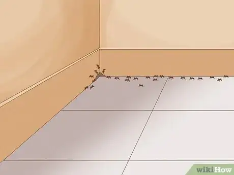 Image titled Get Rid of Carpenter Ants Step 14