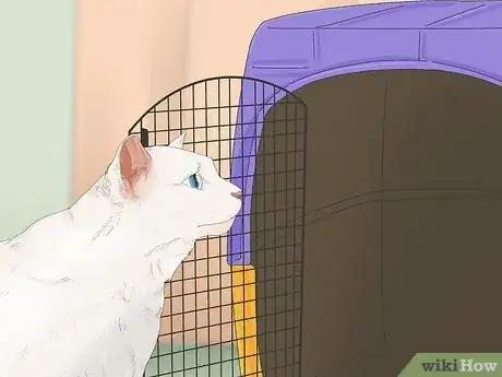 Image titled Introduce a Cat to a New Home Step 1