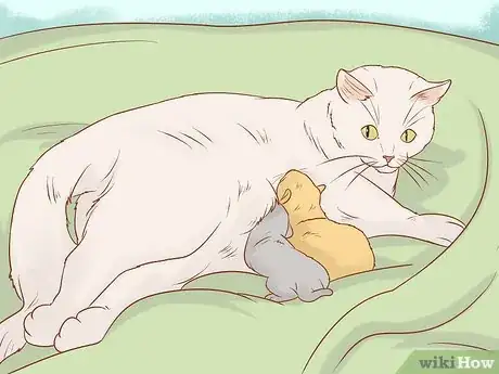 Image titled Tell if a Cat Still Has Kittens Inside Step 6