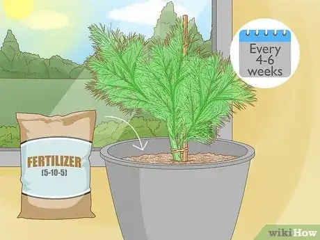 Image titled Grow Dill Indoors Step 10