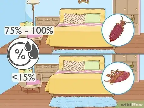 Image titled How Long Can Bed Bugs Live Without a Host Step 3