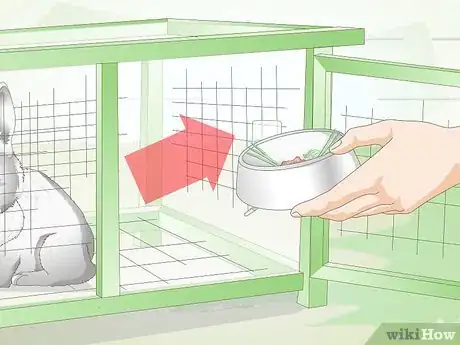Image titled Clean a Rabbit Cage Step 1