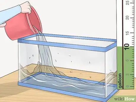 Image titled Care for a Dwarf Gourami Step 1