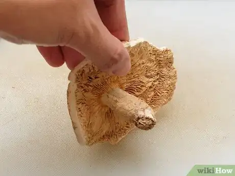 Image titled Cut Mushrooms Step 4