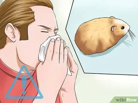 Image titled Choose a Hamster Step 11